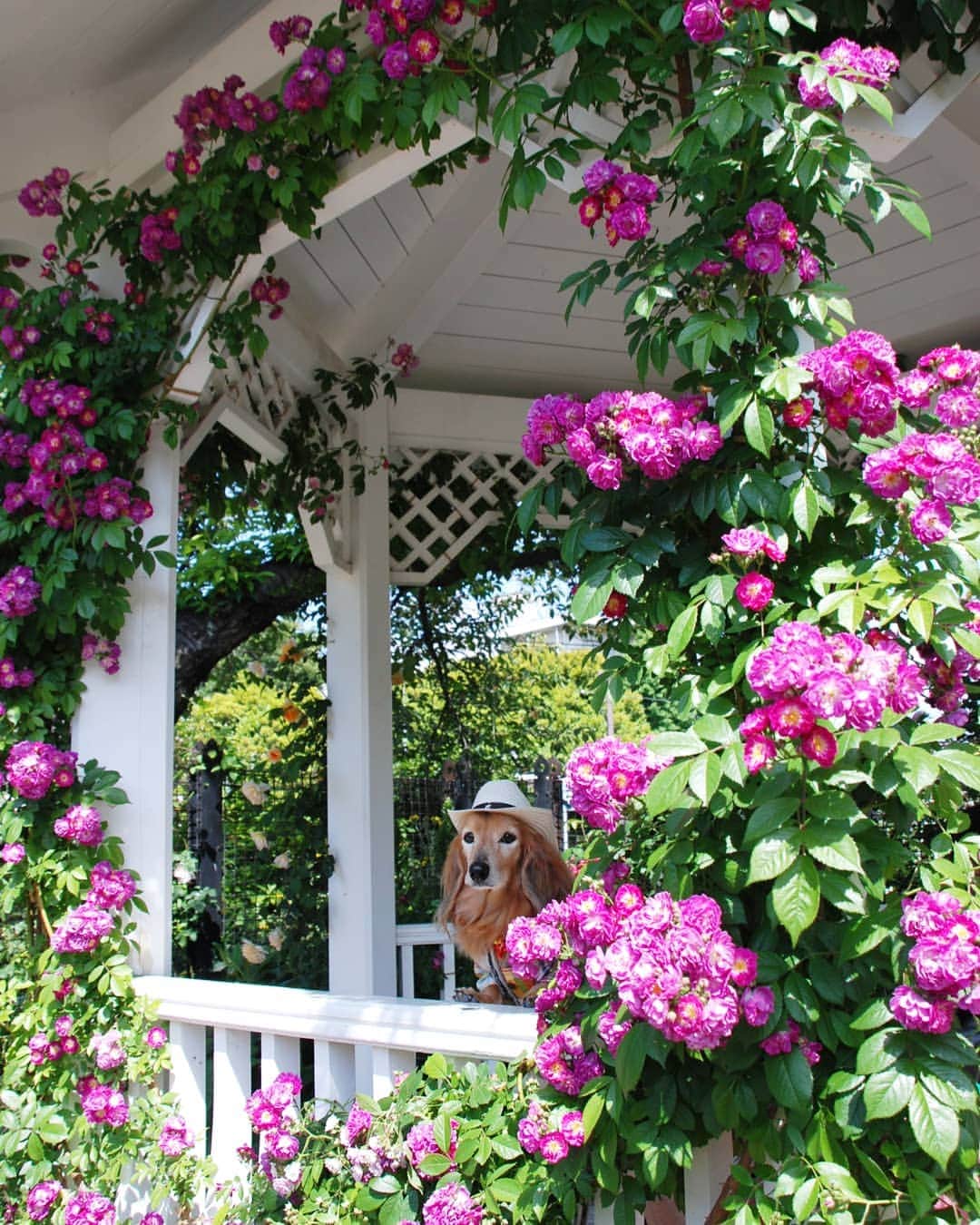 ?モデル?大地?のグルメインスタ