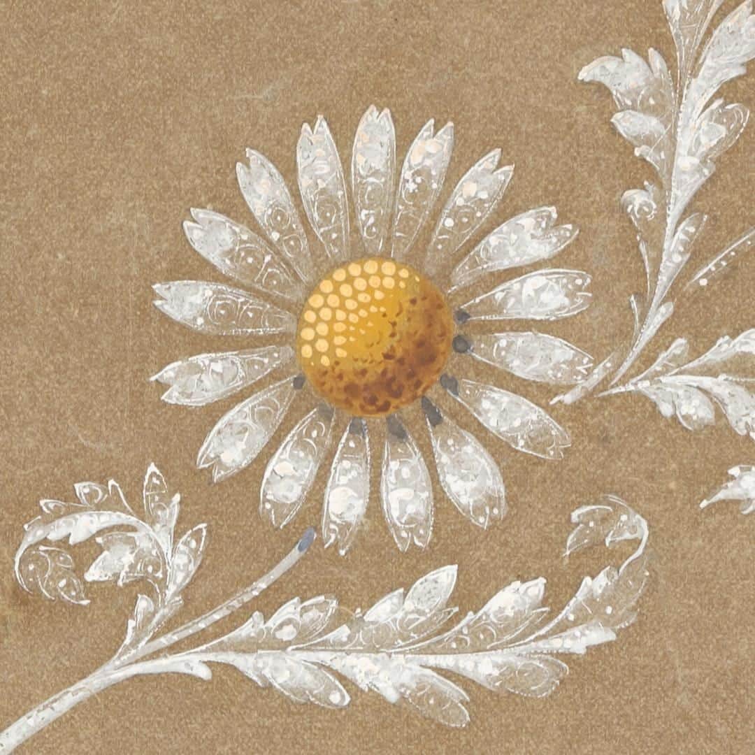 Chaumetさんのインスタグラム写真 - (ChaumetInstagram)「From noble flowers to the most simple ones, the Maison has always had a special bond to flora, like our first client and muse Empress Joséphine, who was a botanist herself. Her love for nature was inspired by her chilhood on the island of Martinique, where the most beautiful tropical flowers flourished. #ChaumetTreasures #LaNaturedeChaumet」5月30日 15時00分 - chaumetofficial