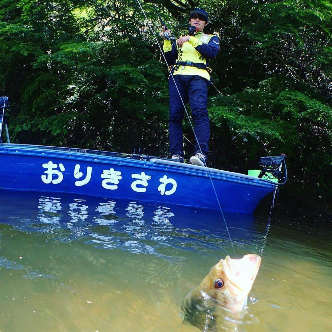 ジャッカルのインスタグラム