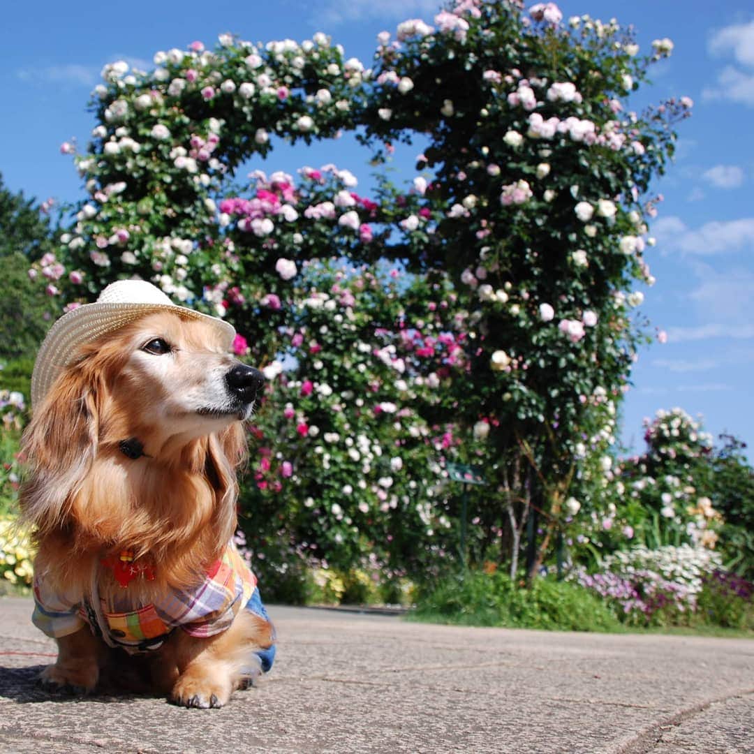 ?モデル?大地?のグルメインスタ