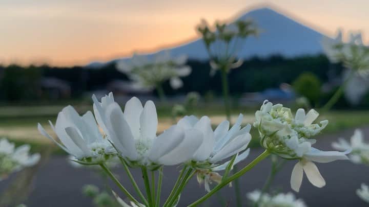 phantastic420のインスタグラム：「. 🤩🤩“Shizuoka” prefecture in Japan is a place where you can see the most “phantastic” Mt. Fuji🗻 in the world.🤩 #富士山 #mtfuji #japan #shizuoka #fujinomiya  #phantastic420photography #mostphantasticmtfuji #selamatpagi  #goodmorning  #おはようございます 😇😇😇😇😇😇😇🗻😇😇 今朝は一瞬だけ見えました🤣」
