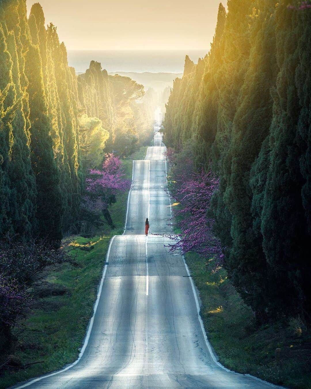BEAUTIFUL DESTINATIONSさんのインスタグラム写真 - (BEAUTIFUL DESTINATIONSInstagram)「Sunset over the cypress trees in Tuscany 😍 (📷: @ilhan1077 📍: #Tuscany, Italy)」5月30日 7時41分 - beautifuldestinations