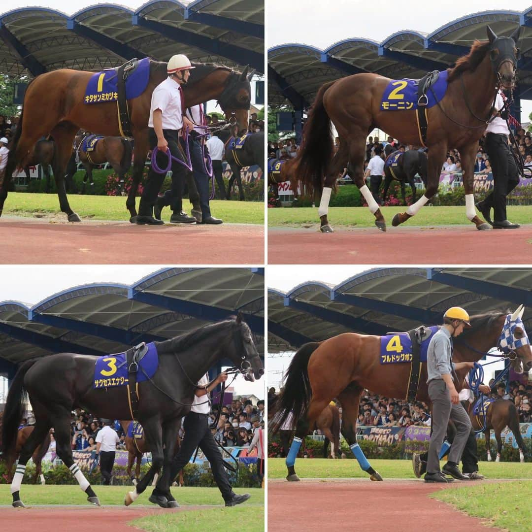 津田麻莉奈さんのインスタグラム写真 - (津田麻莉奈Instagram)「#第23回さきたま杯 🏇💨✨ 勝ったのはウインムート！ 見事な逃げ切り勝ちでした！！！ ⁑ スタートで一歩目躓いてしまったそうですが、 ハナを取り切ってからは本当に強かった。 関係者の皆さま、おめでとうございます‼️✨ 馬券も単勝とったどーー😍😍😍 JBC浦和がますます楽しみになりました💕🏇💨✨ ⁑ #さきたま杯 #浦和競馬場 #ウインムート #逃げ切り勝ち #浦和 #競馬場 #JBC浦和 #地方競馬 #南関東競馬  #競馬好き #競馬 #urawaracecourse  #まりなる #津田麻莉奈」5月30日 8時26分 - tsudamarinal