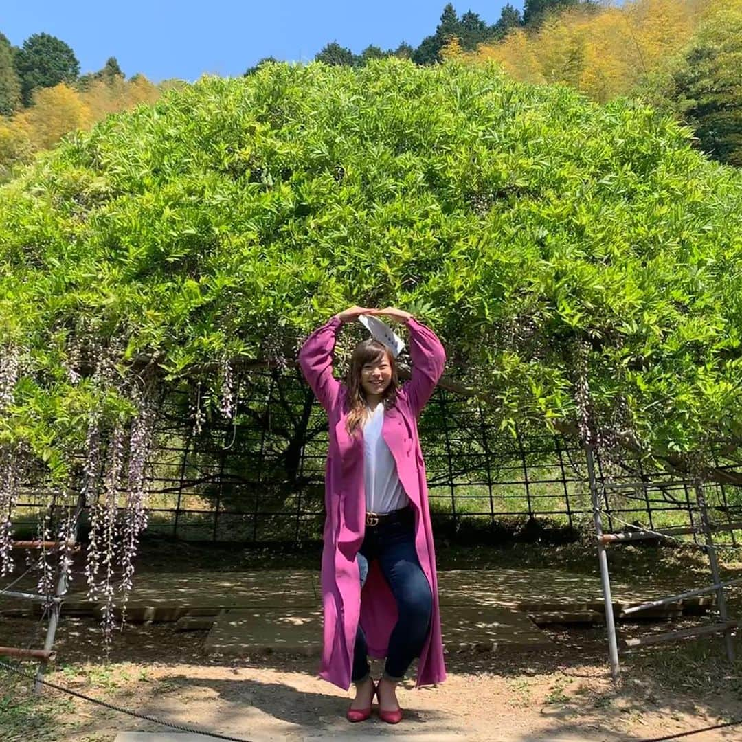 植草歩さんのインスタグラム写真 - (植草歩Instagram)「今日も良い天気🍃◎ 週の後半疲れてきたけど… 上海までラストスパート頑張ろ💚💚💚」5月30日 8時46分 - ayayumin0725