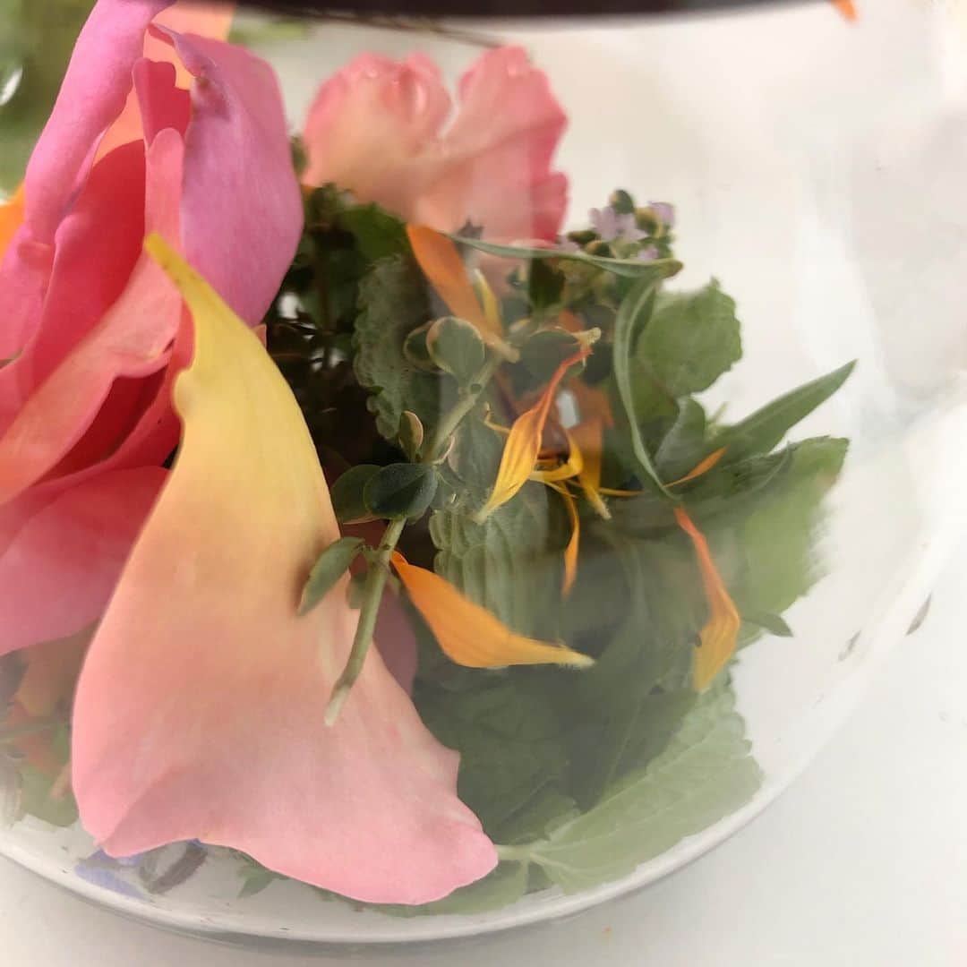 のインスタグラム：「先日のランチワークショップのお茶は、小さな庭で摘んだ、フレッシュハーブティー。あと少しでアップルミントと美味しくなるかなぁ☺︎ #アップルミント #レモンバーヴェナ #レモンバーム #レモンタイム #カレンデュラ #ローズ #庭から摘んだ #フレッシュハーブティー #ハーブ #HERVA」
