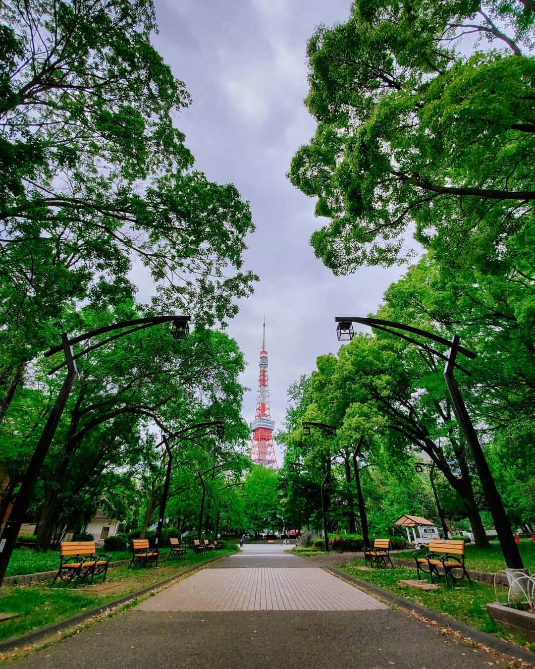 Galaxy Mobile Japanさんのインスタグラム写真 - (Galaxy Mobile JapanInstagram)「真っ赤な東京タワーを中心に、鮮やかな緑の自然を撮影してみました📸 #GalaxyS10 | S10+ ならここまで写る！今まで写らなかった景色も写るので、撮ってほしい景色などあれば、ぜひコメントで教えてね！👀 📸#GalaxyS10 #withGalaxy Photo by @_tuck4」5月30日 9時01分 - samsungjpn