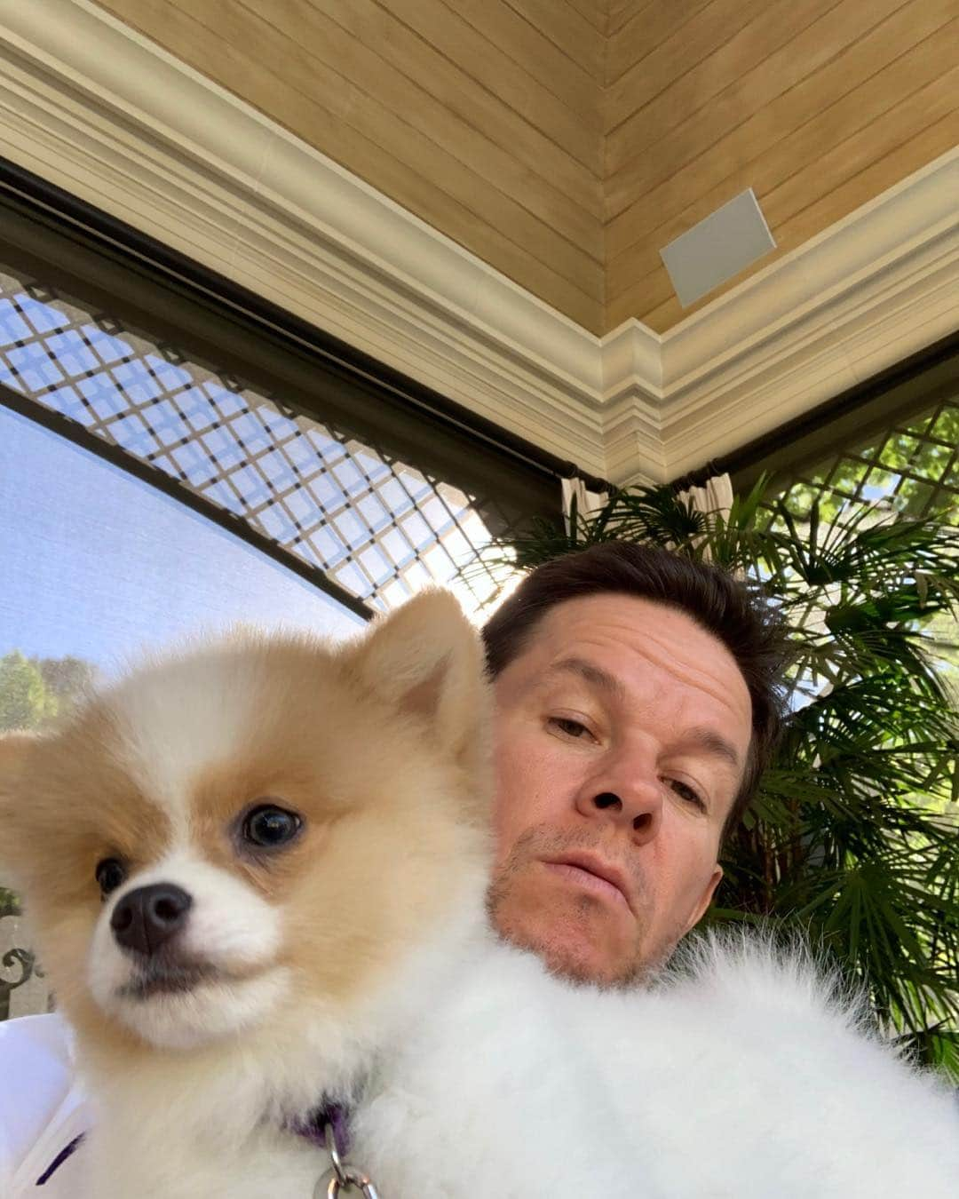 マーク・ウォールバーグさんのインスタグラム写真 - (マーク・ウォールバーグInstagram)「Champ’s climbing all over me while I’m trying to watch the B’s!! Go Bruins❤️」5月30日 9時42分 - markwahlberg