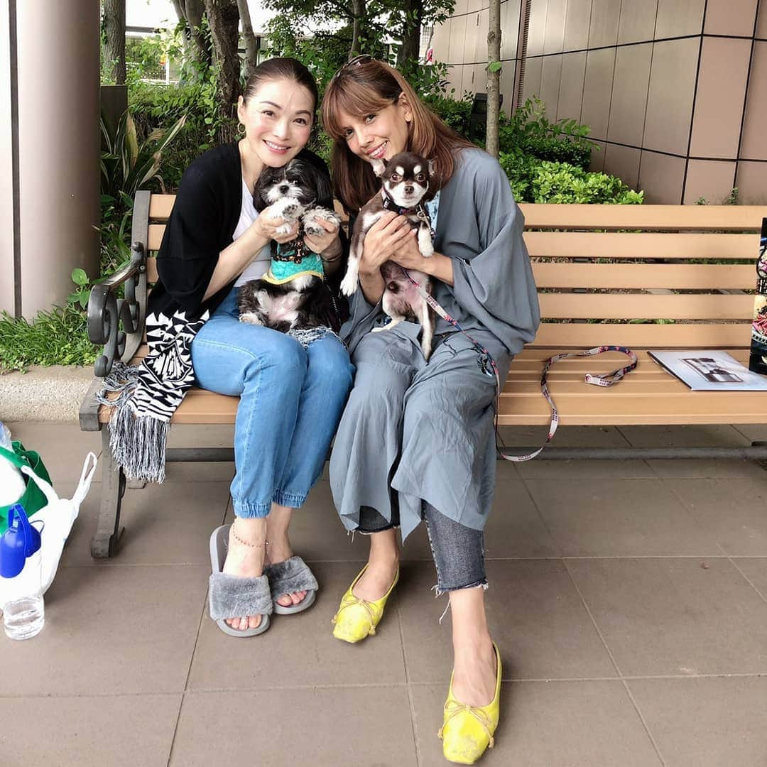 渡辺めぐみさんのインスタグラム写真 - (渡辺めぐみInstagram)「毎月恒例の、パンダとのひがしやまホームへ、今月もお邪魔させて頂きました😁⤴️⤴️⤴️ 今月は、SHEILAちゃんとブルちゃんも来てくれました😁⤴️⤴️⤴️ そして、お手伝いにSHEILAちゃんの、娘ちゃんも来てくれました😁👍👍 有り難う❤️⤴️⤴️⤴️⤴️⤴️❤️ 皆さん、毎月会うのを楽しみにしてくれています😁❤️👍 お別れする時も、また、来月ねと必ず約束して、お別れします😁❤️👍 私も、パンダも毎月楽しみに、ひがしやまホームに行きまーす⤴️⤴️⤴️⤴️⤴️ パンダやブルちゃんを、孫のように可愛いがってくれます😁👍👍 有り難うございます❤️❤️❤️ #ミックス犬 #チワワ#シーズー#chihuahua#shihtzu#癒し犬 #ケアホーム#セラーピー犬#instagrammer #instagramjapan #instagramgood #instagramlike @sheichan16」5月30日 10時18分 - meguheart