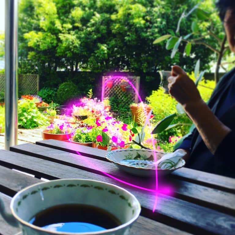 珠洲春希さんのインスタグラム写真 - (珠洲春希Instagram)「春になり、実家のお庭が華やかになってきました🌷🌹🏵 花の大好きな母が、少しずつお花を足したり、 そして、共に物凄い成長をする雑草達と闘ってくれております。  #ガーデニング #花 #庭 #テラスでコーヒー」5月30日 10時20分 - harukisuzu54