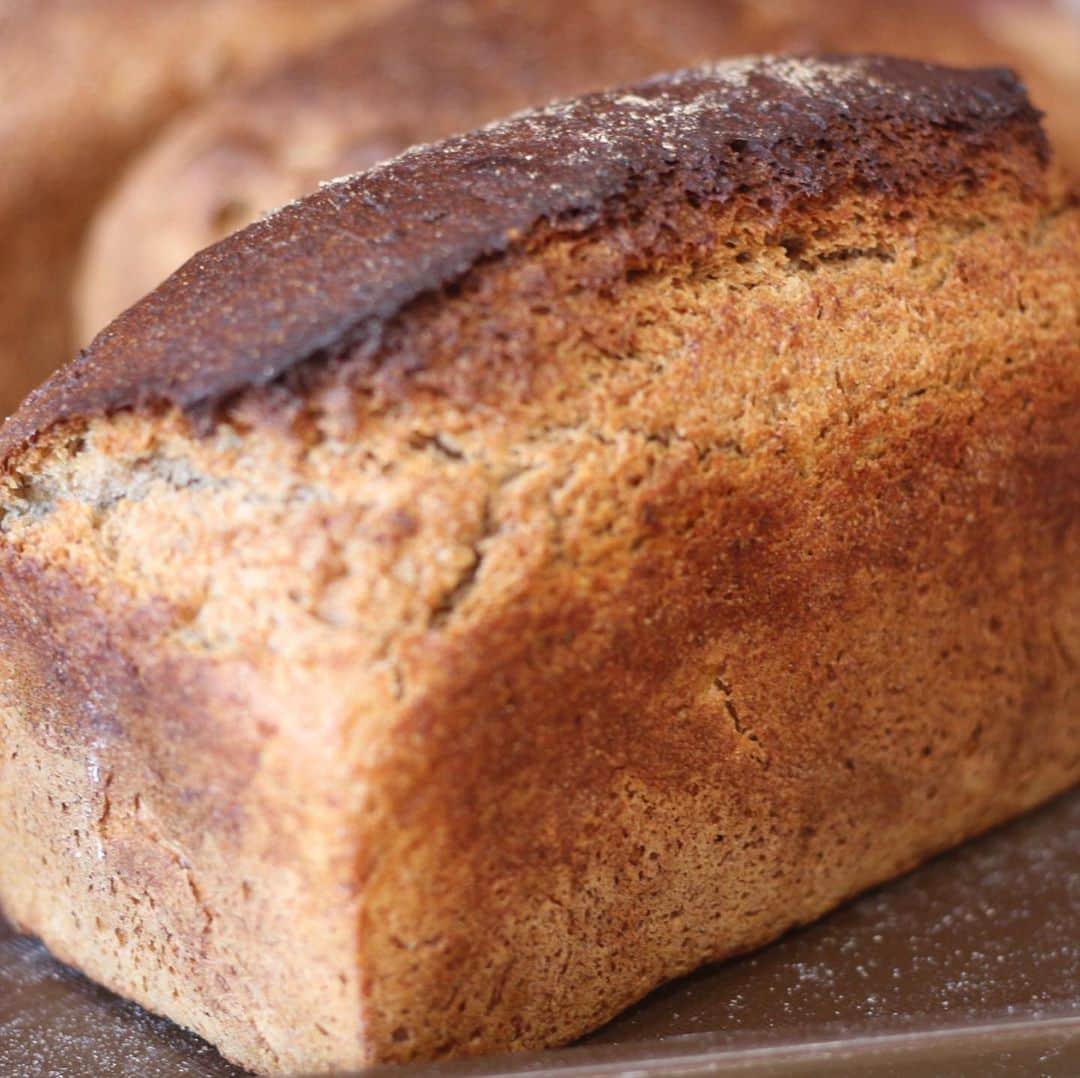 魔女菅原のグルメインスタ