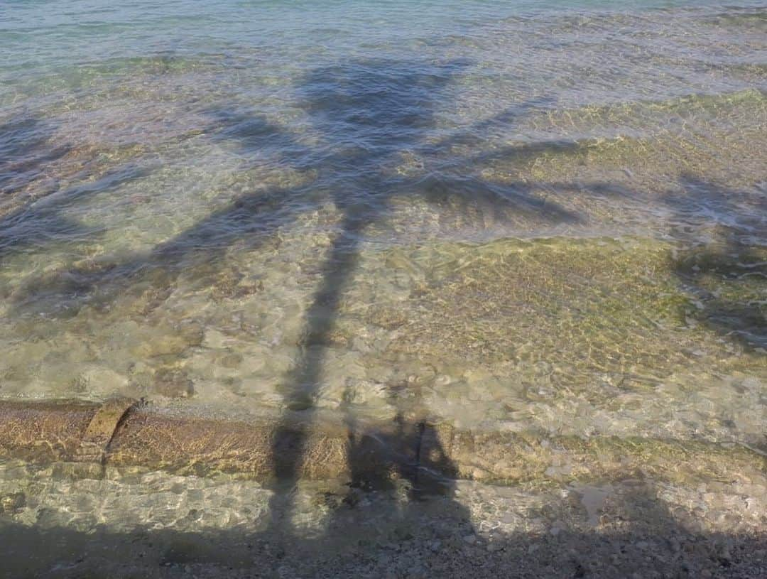 森遥香さんのインスタグラム写真 - (森遥香Instagram)「sea🏝 . 夏が来る 綺麗な海に行きたいですね✈︎ . . #思い出写真 #2年前女友達と行った #hawaii」5月30日 10時35分 - moriri_h