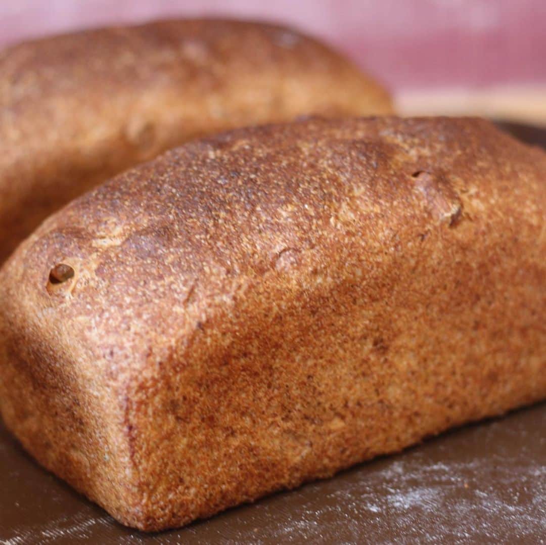 魔女菅原のグルメインスタ