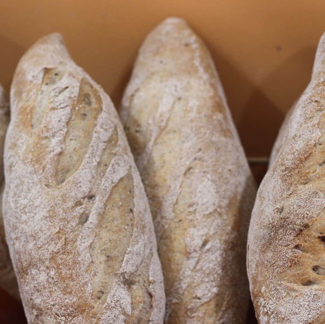 魔女菅原のグルメインスタ