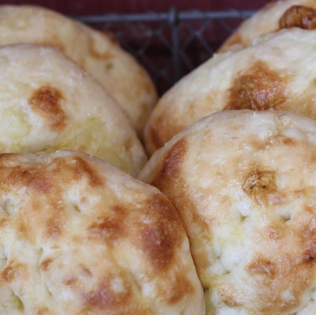 魔女菅原のグルメインスタ