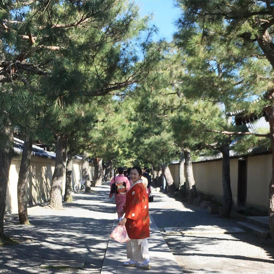 藤代有希さんのインスタグラム写真 - (藤代有希Instagram)「昨日は京都での学びのお話をする機会があり、学びを振り返りました🙏 「目で見て、耳で聴いて、心で感じる。」 特別な道具がなくても、今できることを精一杯行う。 お茶もヨガやレッスン、番組…何でも 【心をいれていくこと】  あの時の感覚がじーんと体に沁みた昨日でした🙏  ヨガとお茶のW.S行います。  ヨガのレッスンの後にお抹茶をお出しします。 ヨガでスッキリ、お抹茶を飲んでさらにスッキリ😊  ご予約受付中です。  ヨガ 〜マインドフルネス お抹茶付き〜 ◾︎日時◾︎ 6/20(木曜日)  19:30〜21:00 ◾︎定員◾︎ 8名様 (予約制) ◾︎料金◾︎ ¥2500 (税込) ◾︎持ち物◾︎ 動きやすい服装/お飲物 (ヨガマット無料レンタル有) ◾︎Message◾︎ ヨガでリラックスをしながら、身体や心、そして "いま" を味わう時間を過ごしませんか？ 呼吸やポーズをゆったり楽しみ最後にお抹茶を一服味わって頂く90分。 ヨガや瞑想などリラックス後の一服は、心にまで拡がる美味しさ。 忙しい毎日を生きる現代人にとって、頭を休めて五感で過ごす時間はとても大切です。 "いま"を五感を使って味わいマインドフルネスな時間をご案内致します。 ◾︎講師◾︎ 〜藤代有希〜 タレントとして活動する傍ら、2005年よりインストラクターとして始動。 現在は子供から大人までヨガやダンスを通してより豊かな毎日へのお手伝いをさせて頂いてます。 テレビショッピングQVCの商品アドバイザーとしても活動中。 ・YIC200認定講師 ・YMCメディカルスクール インストラクターマスターコース修了 ・studio yoggy  リストラティブヨガコース 修了（RTC） ・studio yoggy キッズヨガティーチャーズトレーニングコース 修了 ・ISHTA yogaマタニティヨガティーチャーズトレーニング 修了 ・ISHTA yoga 産後ヨガ 修了 ◾︎ご予約・お問い合わせ◾︎ Studio Boo-Thang 📧 info@boo-thang.com  #藤代有希 #ユキ #yoga #meditation #ヨガ #ヨーガ #メディテーション #瞑想 #マインドフルネス #teaceremony #茶道 #抹茶 #いま #ヨガインストラクター #ボディバランストレーナー #インナーボディコントロール #横浜 #石川町 #元町 #夜ヨガ #リラックス#kimono」5月30日 11時25分 - yukifujishiro_official