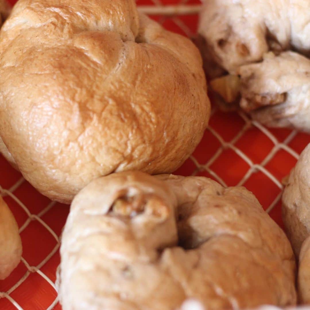 魔女菅原のグルメインスタ