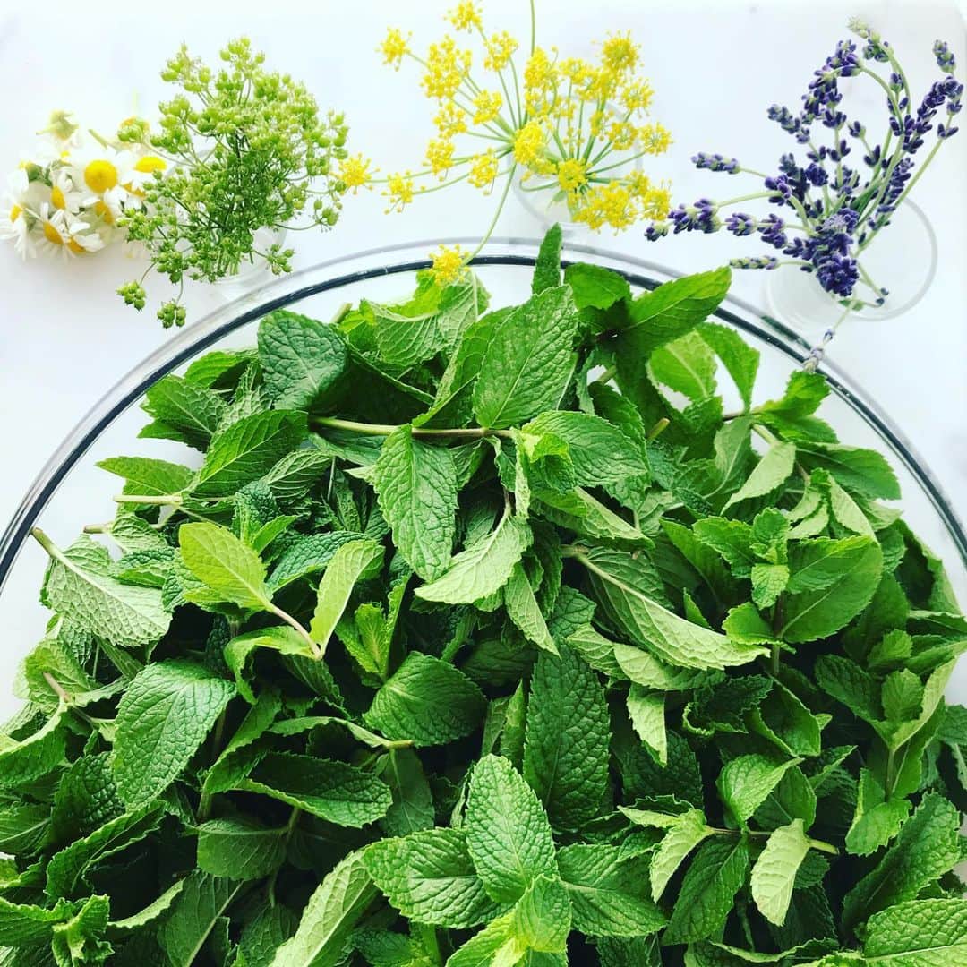 ORGANIC TABLE BY LAPAZのグルメインスタ