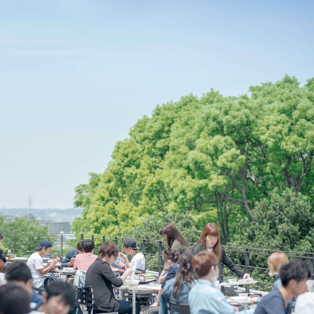 Meiji Gakuin/明治学院大学/明学さんのインスタグラム写真 - (Meiji Gakuin/明治学院大学/明学Instagram)「晴天のもとで昼ご飯。心地よい風が吹いています。  #ランチ #空 #青空 #天気 #横浜 #大学 #大学生 #明学 #学生 #カメラ #写真 #ファインダー越しの私の世界 #明治学院大学 #sky #meijigakuin #university #yokohama #photo # #japan #instagood」5月30日 12時37分 - mguniv