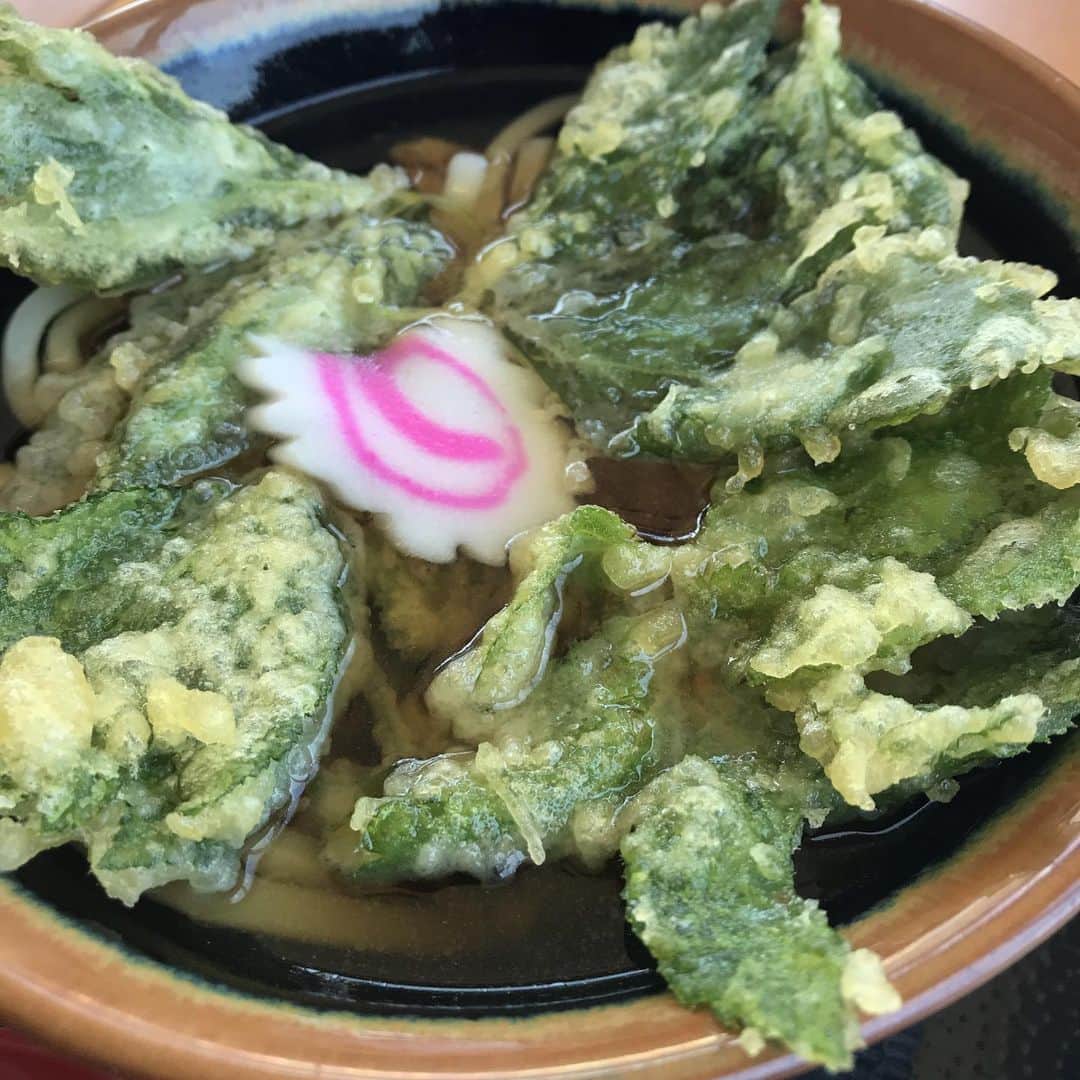 井手大介のインスタグラム：「明日葉天ぷらうどん」