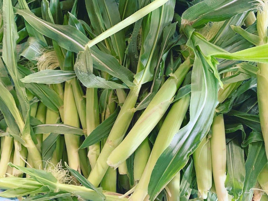 福岡超新鮮野菜/フレラボ薬院店のインスタグラム：「ヤングコーン🌽ヒゲも一緒に天ぷらかバター焼きもいいですね〜🥳 . . #野菜#ヤングコーン#とどける株式会社」