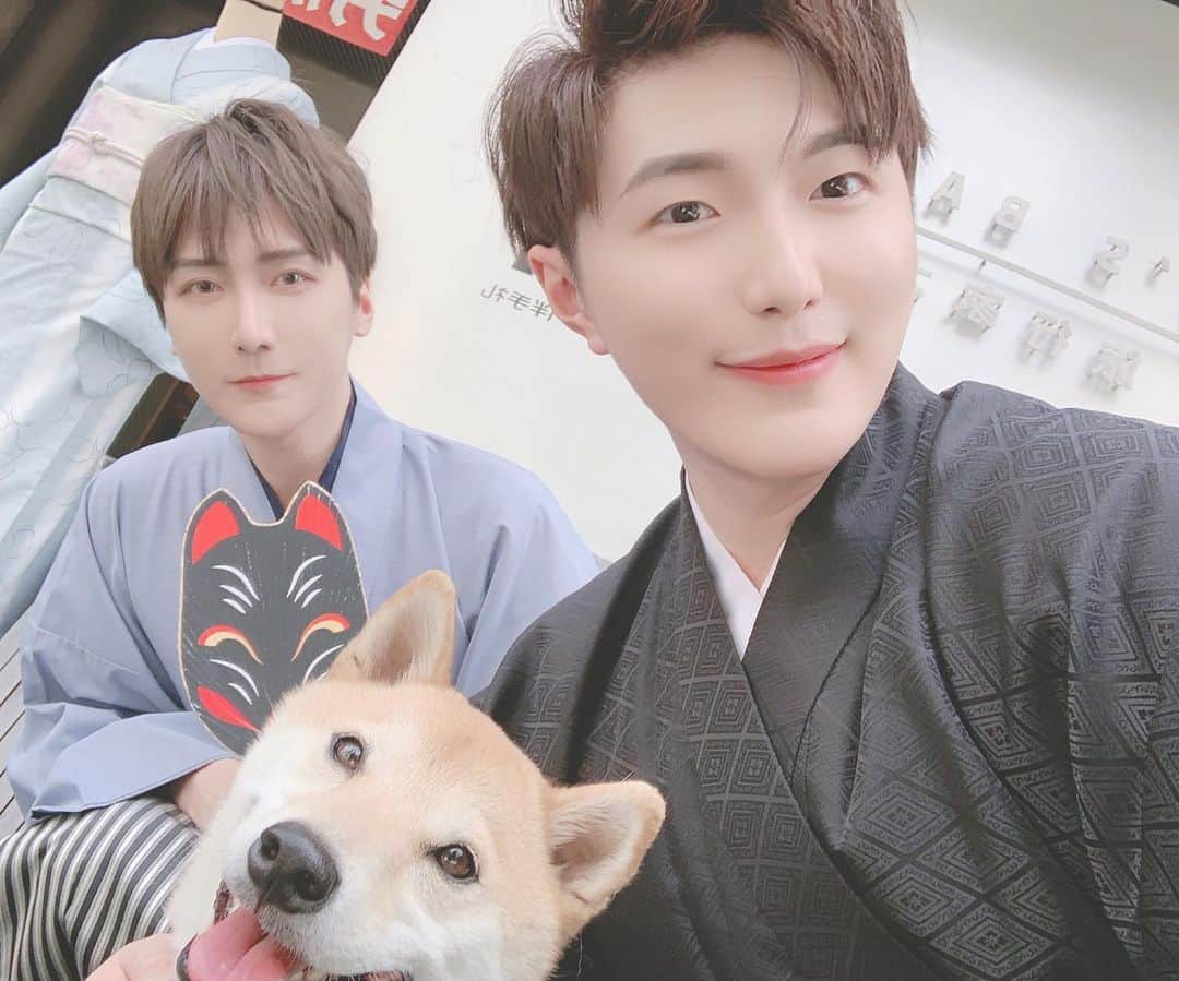 のインスタグラム：「柴犬可愛い過ぎる(੭ु ›ω‹ )੭ु⁾⁾♡」