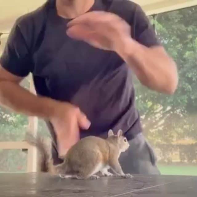 Cute baby animal videos picsのインスタグラム