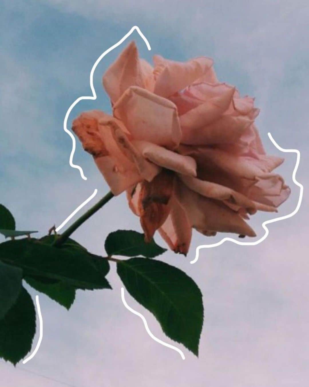 マヌーシュさんのインスタグラム写真 - (マヌーシュInstagram)「La rose est la fleur favorite de notre créatrice Frédérique Trou-Roy 🌹 Élégante et intemporelle... #inspiration」5月31日 1時28分 - manoush_officiel