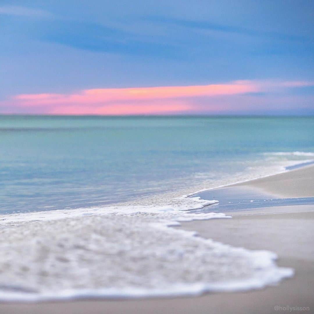 Holly Sissonさんのインスタグラム写真 - (Holly SissonInstagram)「#tbt to warm beach vibes at Henderson Beach State Park @VisitFlorida #LoveFL #LiveAmplified @SouthWalton #SouthWalton #HendersonBeachStatePark ~ Canon 1D X MkII + 70–200 f2.8L IS MkII @  f2.8 200mm (See my bio for full camera equipment information plus info on how I process my images. 😊)」5月31日 0時03分 - hollysisson