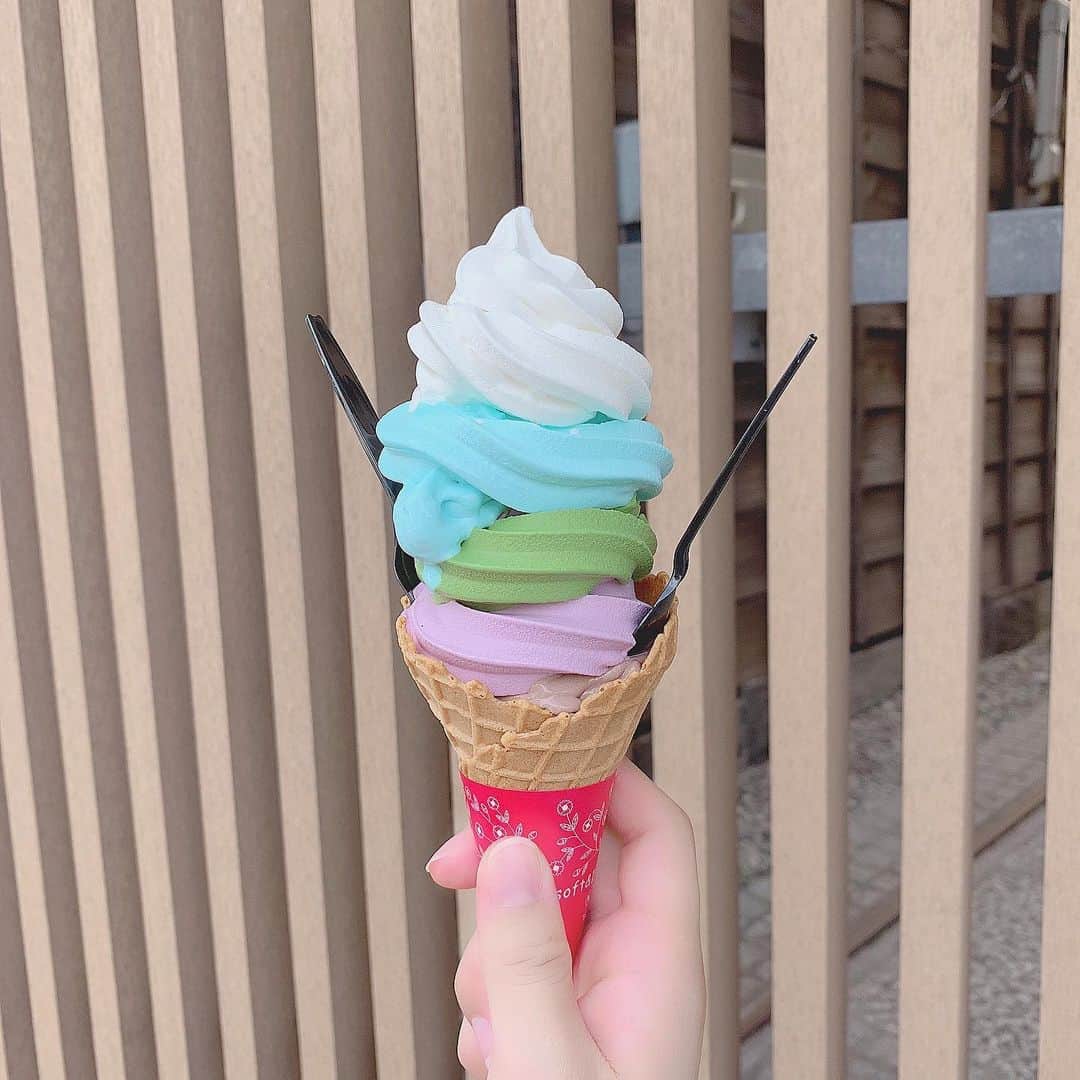 ちとせよしのさんのインスタグラム写真 - (ちとせよしのInstagram)「5色ソフトクリーム🍦 ♡ とってもボリューミーでした(⸝⸝⍢⸝⸝) 上からバニラ、ソーダ、抹茶、おいも、チョコ かな︎︎︎︎☺︎ ･ ･ ･ #ソフトクリーム #鎌倉食べ歩き #鎌倉観光」5月31日 0時12分 - chitose_yoshino