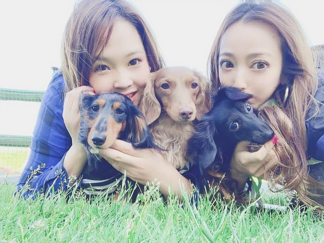 坂本礼美さんのインスタグラム写真 - (坂本礼美Instagram)「. . だっくす大好きな2人🐶🍒 . . オシャレなカフェでランチして🍴 久しぶりにドッグラン🐾 . いっぱい遊んで疲れちゃって、お家帰ってきてからすぐに爆睡な私の可愛い赤ちゃん👶🏼🍒 . なーことゾロとミロにも会えて癒された1日🥰✨ . また遊んでね🐶🧡💛 . . . #かにんへんだっくすふんど #みにちゅあだっくすふんど #どっぐらん #はじめはびびってにげまわるだけ #なれてきたころにかえるじかん #いつものながれ」5月31日 0時30分 - remi_1103