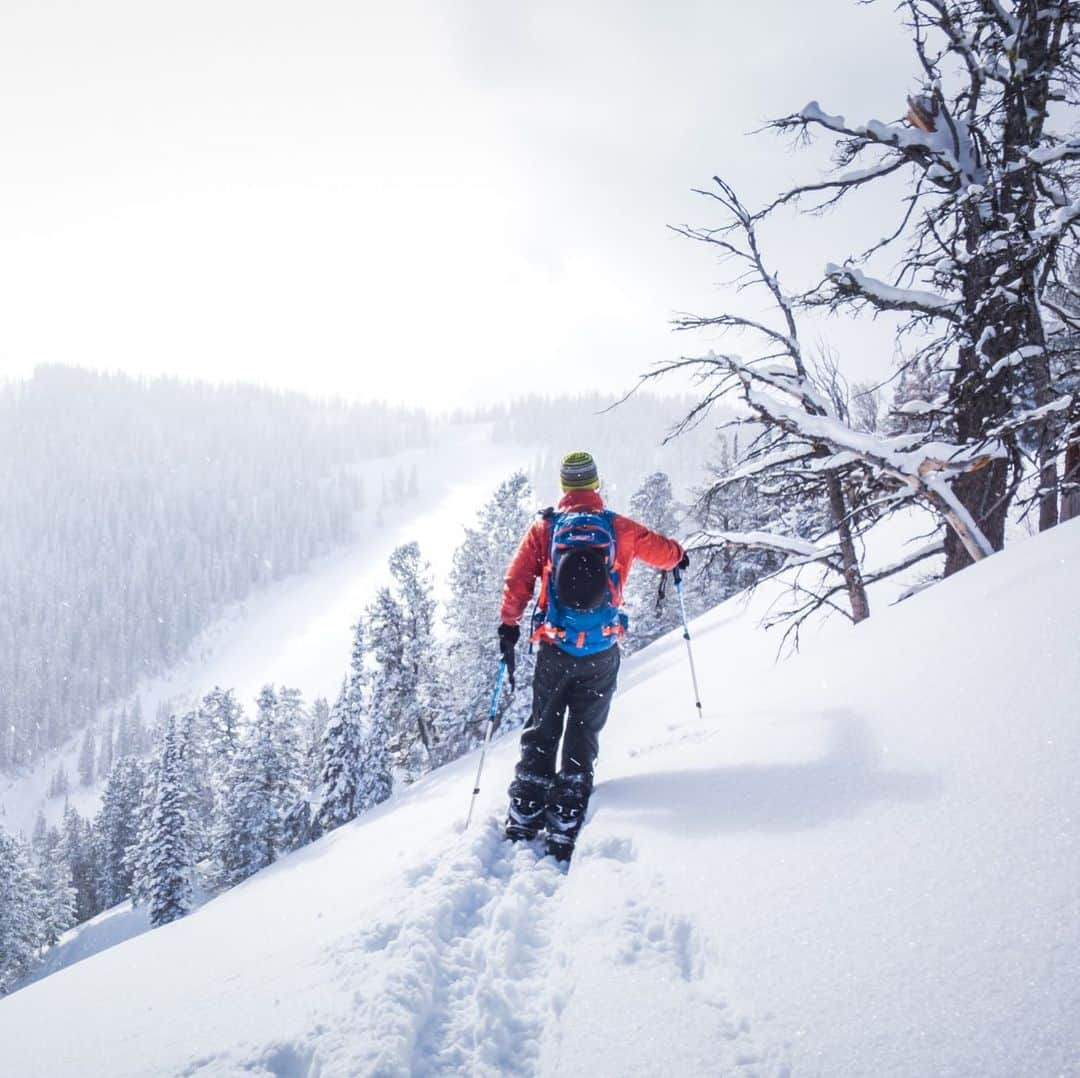 アメリカ内務省さんのインスタグラム写真 - (アメリカ内務省Instagram)「Congratulations to Ching Fu, the Grand Prize Winner of the 2018 Share the Experience photo contest! Her picture of a winter adventure at Bridger Teton National Forest in #Wyoming will appear on next year’s America the Beautiful: The National Parks and Federal Recreational Lands Pass. In 2018, amateur photographers sent in over 7,700 images inspired by the beauty and importance of America’s public lands. Thank you to everyone who participated and good luck next year! Photo by Ching Fu (www.sharetheexperience.org - @share_the_experience). #photography #ShareTheExperience #travel」5月31日 0時31分 - usinterior