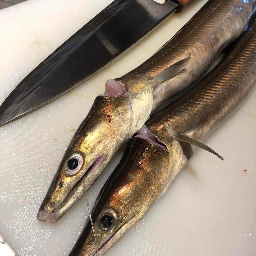 寿司居酒屋 番屋のグルメインスタ