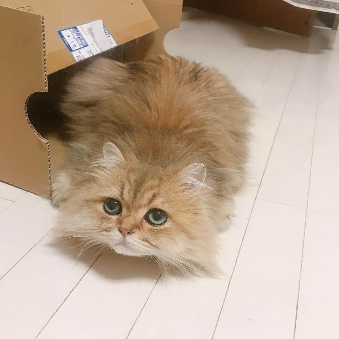 manami☺︎satoのインスタグラム
