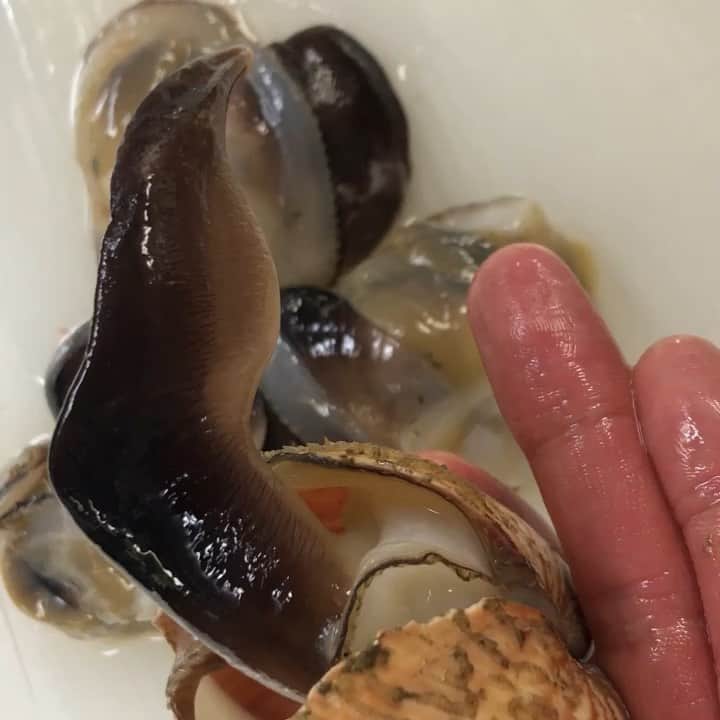 寿司居酒屋 番屋のグルメインスタ