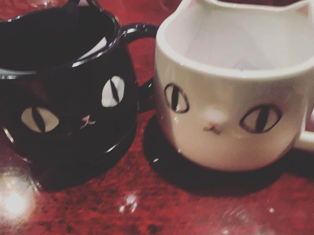 佐藤仁美さんのインスタグラム写真 - (佐藤仁美Instagram)「貰った！！猫グッズ見てたら、私を思い出してくれて、買ってきてくれた！！！なんて嬉しいんだ！！喜び！！！！！！(女友達だけどね。。。)ありがとう！！！ #猫 #猫好き #にゃー #化け猫 #ごろごろ #しゃー」5月30日 16時27分 - sato.hitomi.19791010