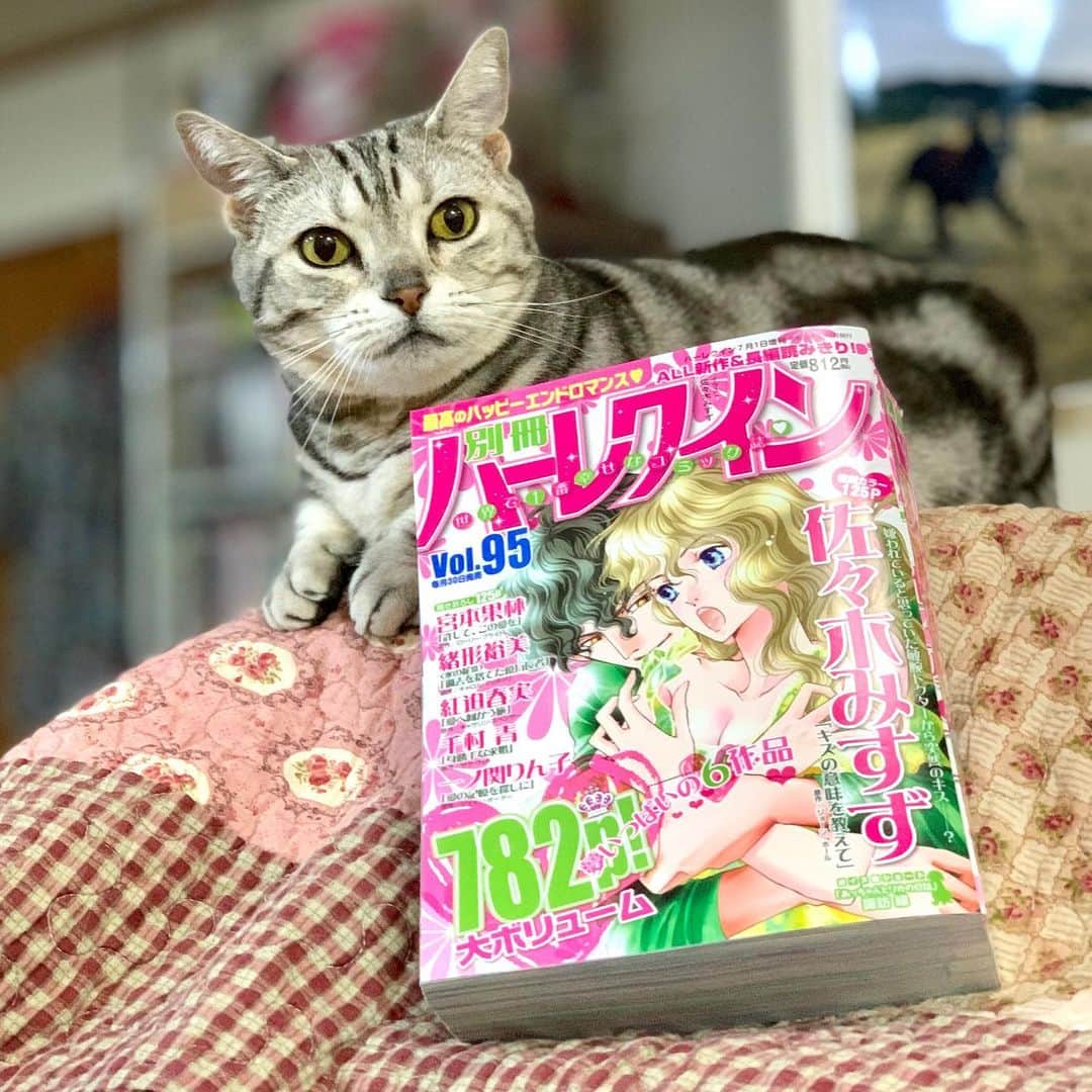 のインスタグラム：「本日発売の、別冊ハーレクインの表紙と巻頭を担当させて頂きました💖 令和初の別冊ハレ✨ よろしくお願いします💖 #ハーレクインロマンス  #ハーレクイン #ロマンス #別冊ハーレクイン」