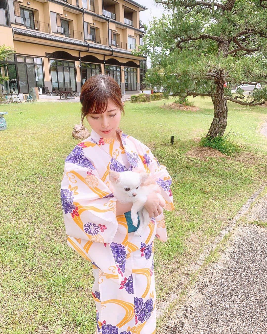さわいえりさんのインスタグラム写真 - (さわいえりInstagram)「ちわわんずと旅行記✨  旅館の前が広い公園だったから、 朝ちわわんずを連れてお散歩🐶  自分で着付けた浴衣は、 @ohkini_kimono の3点セット浴衣だよ💕 ・ ・ ・ ・ ・ ・ ・ ・ ・ ・ #浴衣デート#夏祭り#夜店#屋台#和服#yukata#유카타#浴衣#浴衣女子#浴衣帯選び#お祭り#お祭りコーデ#浴衣ヘア#お散歩#浴衣美人#チワワ#ちわわ#チワワ部#ちわわ多頭飼い#多頭飼い#高齢犬#ペットは家族#ペットと旅行#ペットと泊まれる宿#レジーナリゾート#ちわわ大好き#写真好きな人と繋がりたい#インフルエンサー#マザーカート#メルセデスベンツ」5月30日 17時05分 - beauty_eri7