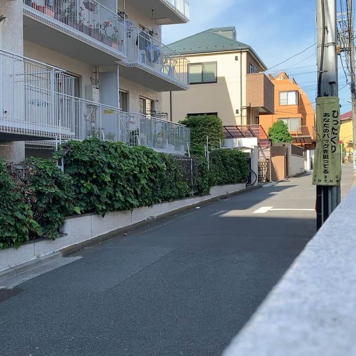 アイアム野田のインスタグラム：「この時間になっちゃった #今日は何の日  #ごみぜろの日 #イニエスタ #iniesta  #アイアム野田 #鬼ヶ島」