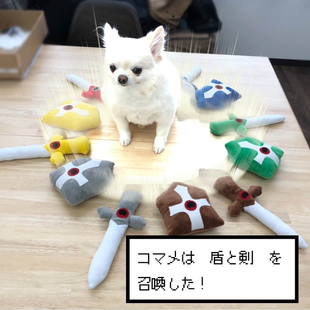 iDog&iCatのインスタグラム