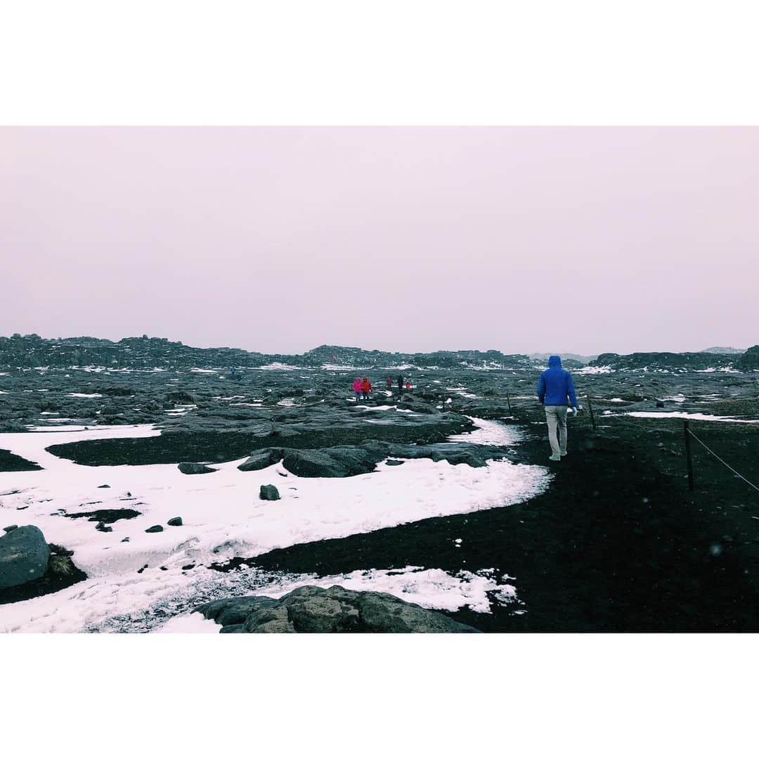 雪浦聖子さんのインスタグラム写真 - (雪浦聖子Instagram)「アイスランド4日目。アイスランドの北側から南東側までぐーっと移動。 絶景に次ぐ絶景。絶景がインフレおこして、だんだんびっくりしなくなってくる。 神々の滝という名前のゴーザフォス。ヨーロッパ最大のデティフォス。写真載せてないけど（インフレ…）奇岩が並ぶディンムボルギル。 デティフォスは滝本体もすごいけど、駐車場から滝に向かう道もすごかった。夫に言わせると三途の川のイメージ、とのこと。岩と雪がならぶ。わたし的には探検気分だったけど、コットンのワンピースという場違いな格好で雪と風に吹き付けられてある意味三途の川は正解。  車を走らせるとどんどん景色も天気変わる。寒いところ、比較的暖かいところ。 メインの国道でも舗装されてないところがあったり、路面も変わる。 フィヨルドの地帯を通る時に海岸線に沿うと遠回りだからとショートカットする道を通ったら生まれたてみたいなガタガタ道で、車のタイヤとれるかと思った。 最後標高がかなり高いところに来たらあたりが真っ白で、ここで車壊れたら死ぬな、えらいとこに来た、と思ってたらトナカイが現れて、この道で良かった！となった。初野生トナカイ。可愛い。なぜこんなところに住むんだ。ご飯ちゃんと食べてるのかしら。  そんなこんなで宿のバンガローについた時はほっとした。たぶん今回の旅で一番ハードな日だった。」5月30日 17時42分 - sneeuw_y