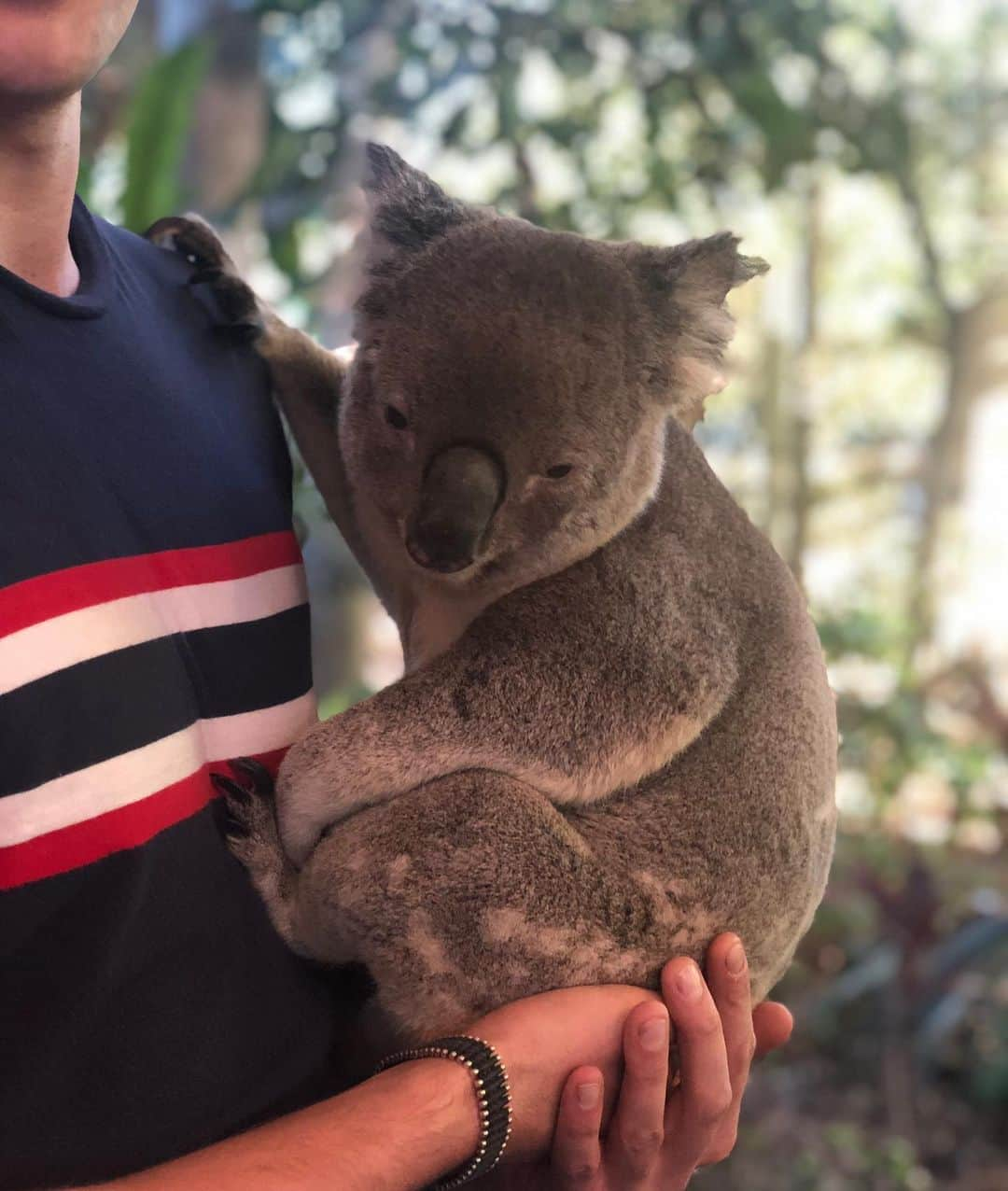 ニーナ・ネスビットさんのインスタグラム写真 - (ニーナ・ネスビットInstagram)「MY AUSTRALIAN DREAMS HAVE COME TRUE!!! 🐨 ✨ thank you so much @lonepinekoala x」5月30日 17時56分 - ninanesbitt