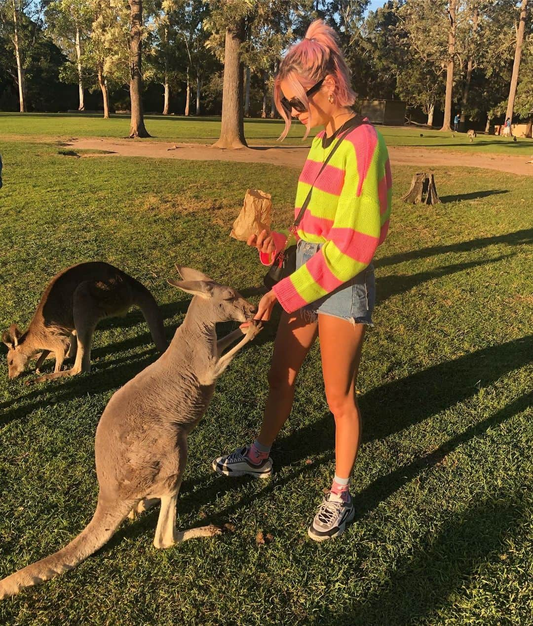 ニーナ・ネスビットさんのインスタグラム写真 - (ニーナ・ネスビットInstagram)「MY AUSTRALIAN DREAMS HAVE COME TRUE!!! 🐨 ✨ thank you so much @lonepinekoala x」5月30日 17時56分 - ninanesbitt