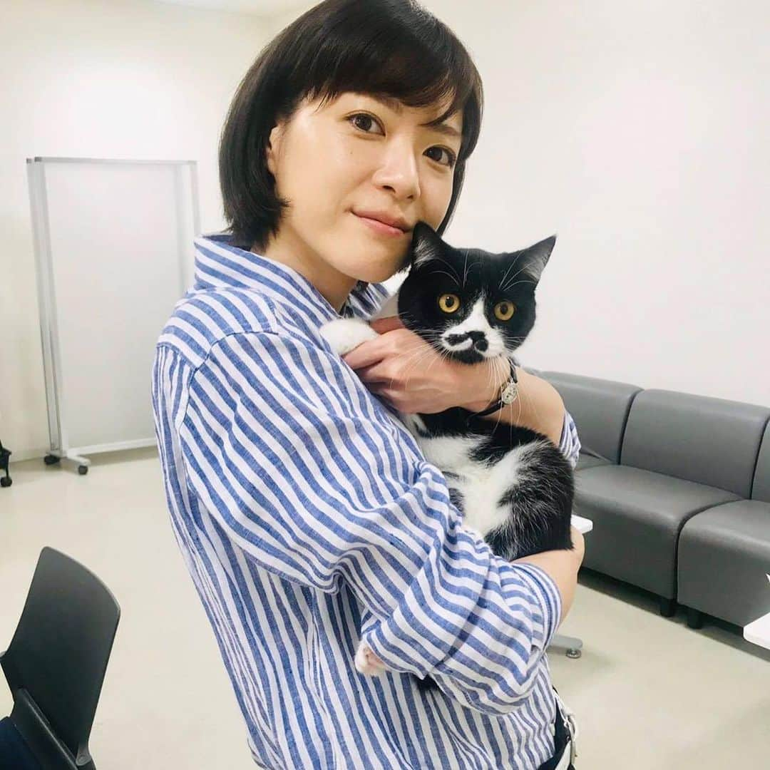 上野樹里さんのインスタグラム写真 - (上野樹里Instagram)「今日は、初の研究室のセットでの撮影でした！😊 どんなチーム感なのか楽しみにしていてください😌✨ この猫は、ドラマの研究室で飼っている「マリン」です🦋 男の子、7ヶ月です。ちょっと怖がりだけど一緒にがんばってます🍀 特徴は、鼻の下のお髭のような黒い模様です。 研究室にあるホルマリンから名付けたのかも知れません。  #監察医朝顔 #ねこ」5月30日 18時30分 - _juri_art_