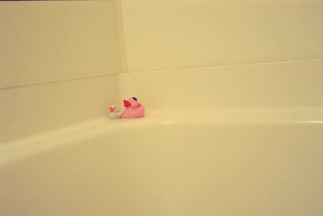 杏沙子さんのインスタグラム写真 - (杏沙子Instagram)「ㅤㅤㅤㅤㅤㅤㅤㅤㅤㅤㅤㅤㅤ ㅤㅤㅤㅤㅤㅤㅤㅤㅤㅤㅤㅤㅤ 我が家のお風呂にいるかわいい親子🛁 ㅤㅤㅤㅤㅤㅤㅤㅤㅤㅤㅤㅤㅤ #olympus35dc #film」5月30日 19時30分 - asako.ssw
