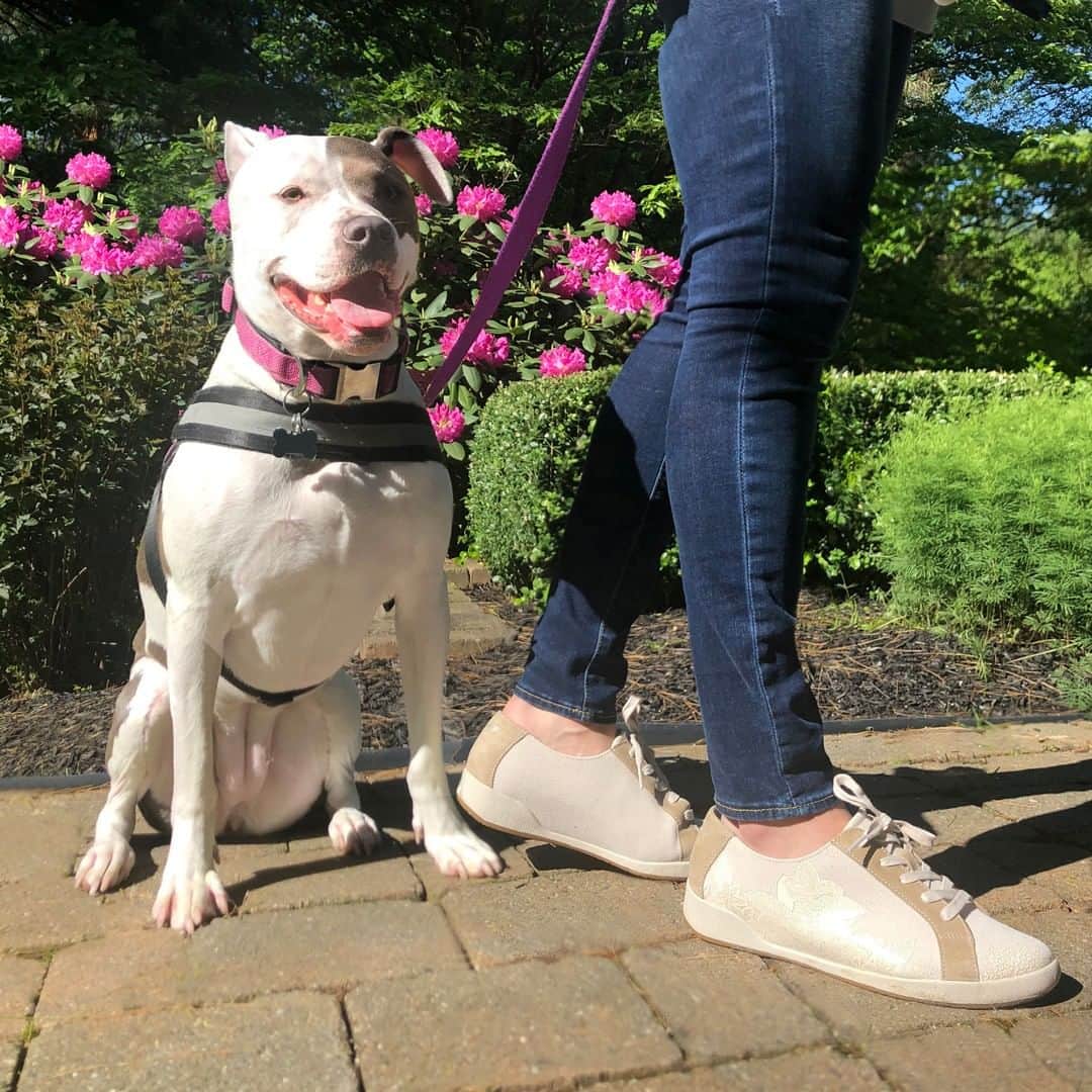 ダンスコのインスタグラム：「Paws and soak in the rays.」