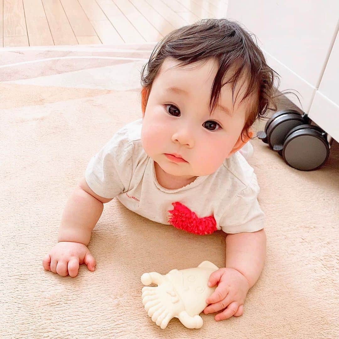 ?Yukihiro Ito?さんのインスタグラム写真 - (?Yukihiro Ito?Instagram)「㊗️㊗️㊗️ ・ 2019.5.30は えみり氏の生誕6ヶ月の日🙄 ・ 🎉🍾🎁Half Birthday🎂💐✨ ・ もう6ヶ月 まだ6ヶ月 ・ これからも一生 咲凜の成長を見守っていくからね😊 ・ 産まれて来てくれてありがとう‼️ 我が家を選んでくれてありがとう‼️ ・ ・ #ここだけの話 (´･Д･)」 ・ 色々なおもちゃがある中 最近のお気に入りがこのイカさん🦑🙄 ・ ・ #生後5ヶ月 #生後6ヶ月 #愛娘 #今日の咲凜 #えみり #emiri #ママリ #mamari #コドモノ #ベビフル #新米パパ #新米ママ #親バカ部 #親バカ #親ばか部 #親ばか #育児 #夫婦 #baby #赤ちゃん #赤ちゃんのいる生活 #えみり氏 #ハイハイ #ハイハイもどき #halfbirthday #ハーフバースデー ・ @babyful_official @kodomono_photo @mamari_official」5月30日 19時46分 - yukky0729