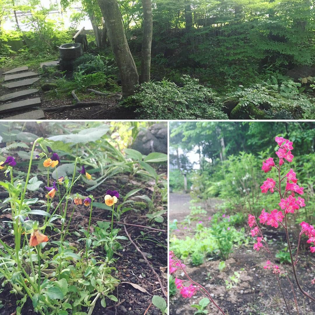 ほうとう 富士の茶屋のグルメインスタ