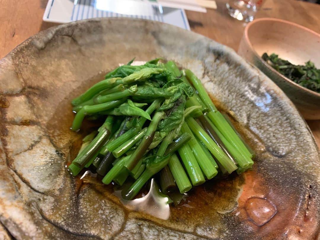 中村優さんのインスタグラム写真 - (中村優Instagram)「昨日は友人宅で山菜ぱ〜てぃ〜🌿🌿🌿 天ぷらもプロ級👏でほんとうに美味しかった。作った本人は「おばあちゃんみたいな料理だけど…」と控えめに言っていたけど、それだよ、みなはそれを求めているのだよ👵❤️」5月30日 20時08分 - nkmr_yu