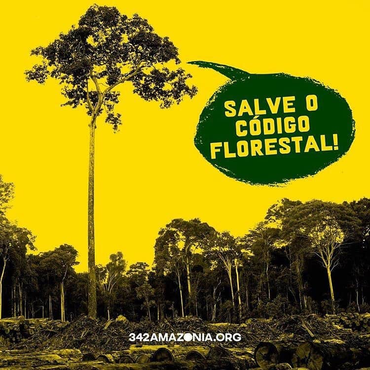 Tainá Müllerさんのインスタグラム写真 - (Tainá MüllerInstagram)「#Repost @342amazonia: A quem interessa a MP867 que altera o Código Florestal?  O deputado federal Sérgio Souza (MDB-PR) é o autor do texto que promove mudanças na Lei 12.615/12, do Código Florestal brasileiro. Vice-presidente da Frente Parlamentar da Agropecuária (FPA), Souza teve como maior financiador de sua campanha, excetuando o diretório de seu partido, Rubens Ometto Silveira Mello. Ele é presidente da Cosan e diretor da Unica, organização que representa o setor de açúcar e etanol no Brasil. No ano passado, a Unica pediu afrouxamento de regras ambientais do RenovaBio, solicitando mais prazo para desmatamento e desconsideração do Zoneamento Agroecológico da cana-de-açúcar. Maior doador único das últimas eleições, Ometto deu R$ 200 mil para a campanha de Sérgio Souza. Ele também foi um dos financiadores da campanha de Ronaldo Caiado (DEM), ruralista de carteirinha, que recebeu R$ 100 mil.  A família Ometto também contribuiu com R$ 50 mil para a campanha de Ricardo Salles, atual Ministro do Meio Ambiente, e com R$ 290 mil para Arnaldo Jardim, ex-secretário de Agricultura de São Paulo e integrante da FPA.  @andredepaula55 @diegoandrademg @depcarlossampaio @betopereirams @joseneltooficial @oficialigortimo @marcelvanhattem @tiagomitraud @fredcostadep @deputadopastoreuricooficial  #342Amazonia #342Amazônia #Salveocodigoflorestal」5月30日 20時10分 - tainamuller