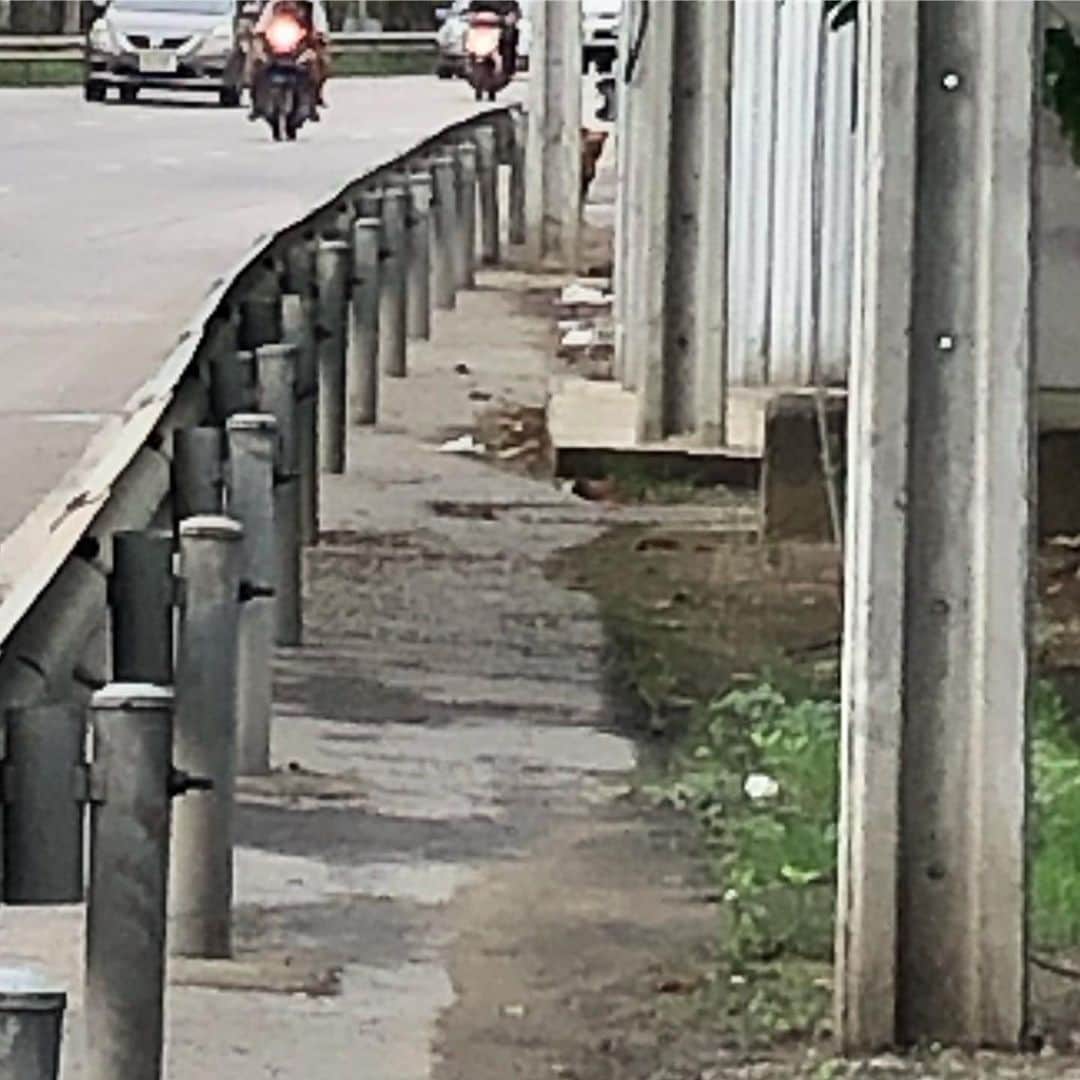 てっぺいさんのインスタグラム写真 - (てっぺいInstagram)「絶対こっちを見てる。 この道を行けば必ずカチ会う。 野犬オーラをガンガン出して、鳴いてる。 無理 #タイ #危険 #野犬 #予防注射してない」5月30日 20時22分 - nice_teppee
